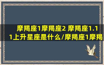 摩羯座1摩羯座2 摩羯座1.11上升星座是什么/摩羯座1摩羯座2 摩羯座1.11上升星座是什么-我的网站